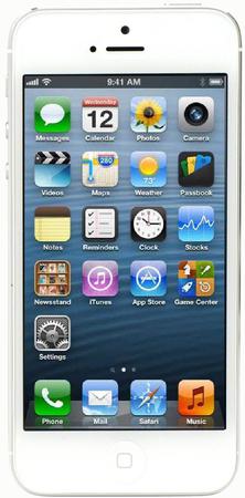 Смартфон Apple iPhone 5 32Gb White & Silver - Элиста